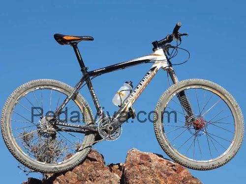 Cannondale Taurine ficha tecnica